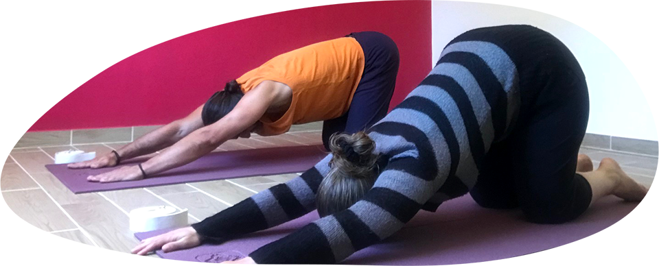 photo asanas